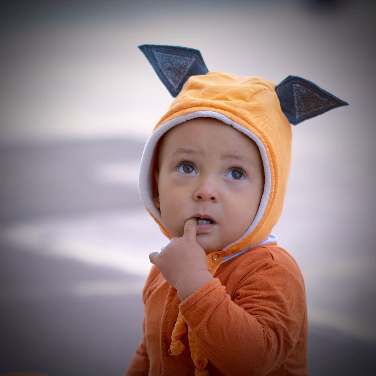 wildthings in fab fox - bebabyco